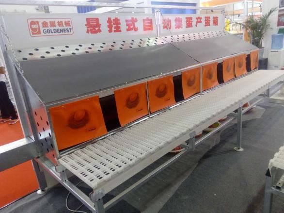 图片8