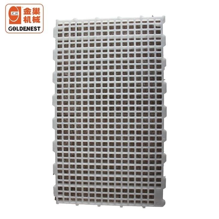 Chicken Farming Equipment Plastic Slats For Poultry Shed