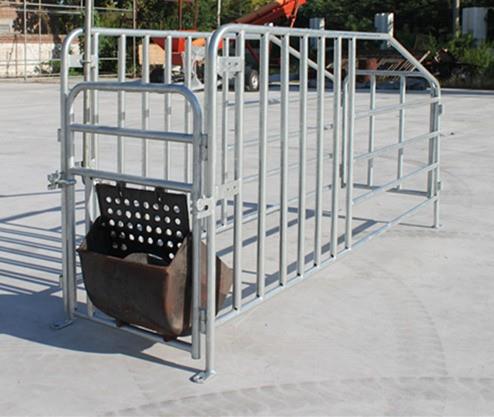 Single Gestation Sow Stall For Pig Farm Equipment